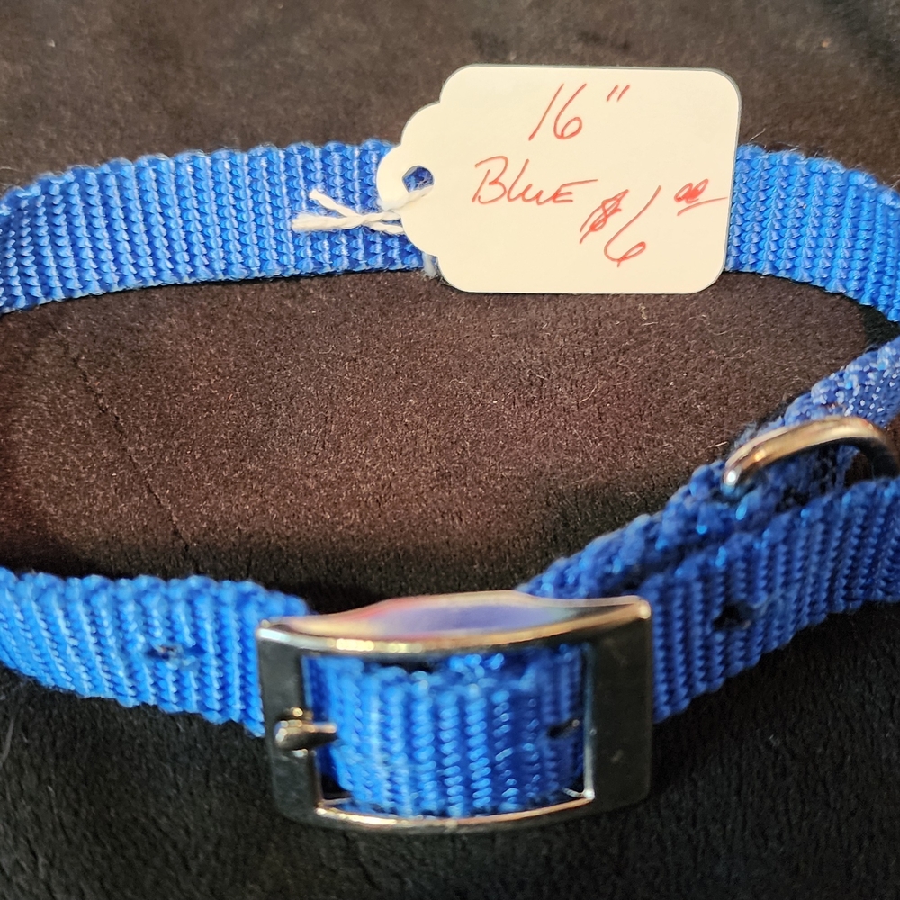 Blue Dog Collar with Metal Buckle